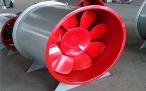 3c麻豆APP在线观看